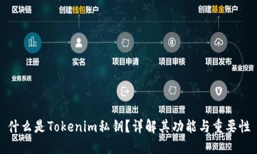 什么是Tokenim私钥？详解其功能与重要性