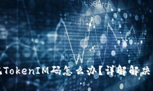 忘记TokenIM码怎么办？详解解决方案