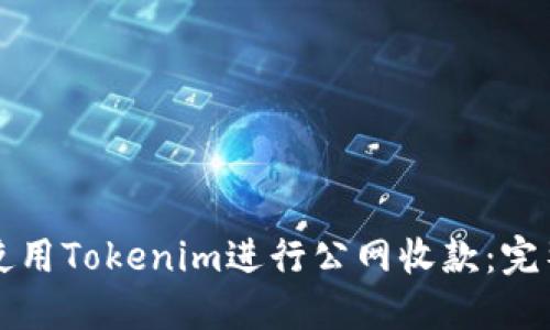 如何使用Tokenim进行公网收款：完整指南