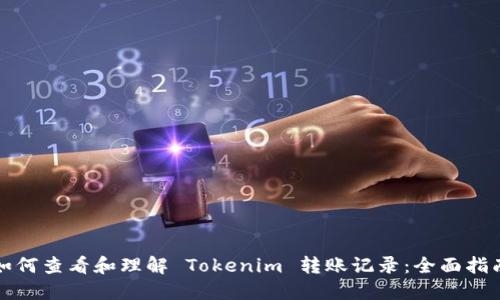 如何查看和理解 Tokenim 转账记录：全面指南