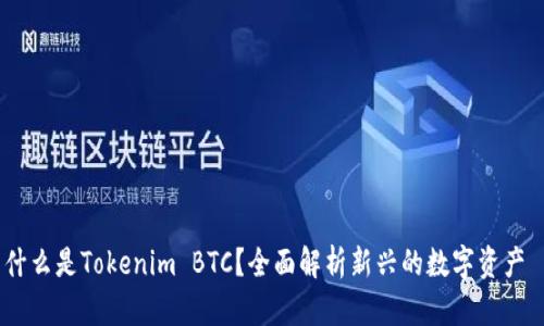 什么是Tokenim BTC？全面解析新兴的数字资产 