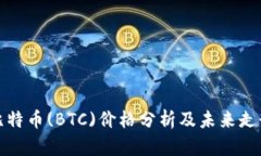 今日比特币(BTC)价格分析及