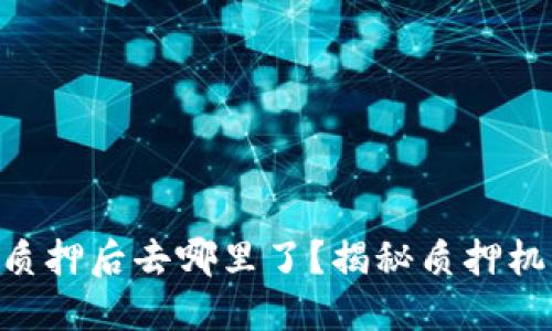 tokenim质押后去哪里了？揭秘质押机制和收益