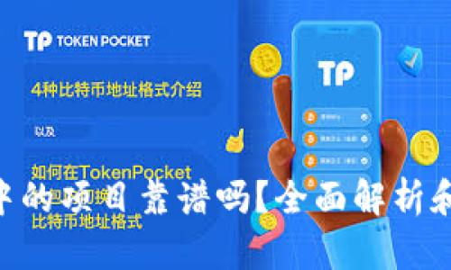 Tokenim中的项目靠谱吗？全面解析和风险评估