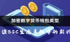 TokenIM：全方位解读BSC生态