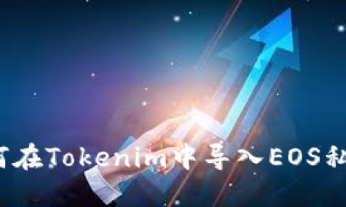 如何在Tokenim中导入EOS私钥?