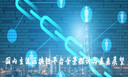 国内主流区块链平台全景探讨与未来展望