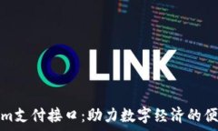   全面解析Tokenim支付接口