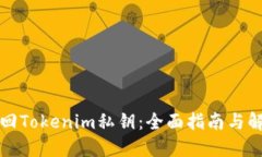 如何找回Tokenim私钥：全面