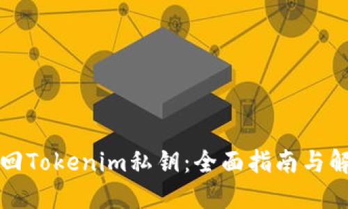 如何找回Tokenim私钥：全面指南与解决方案