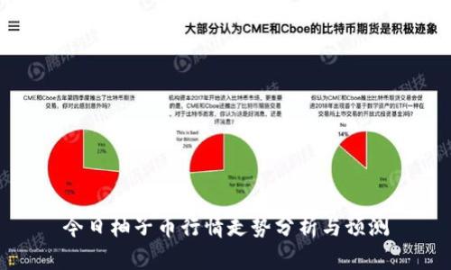 今日柚子币行情走势分析与预测