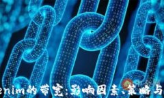 理解Tokenim的带宽：影响因