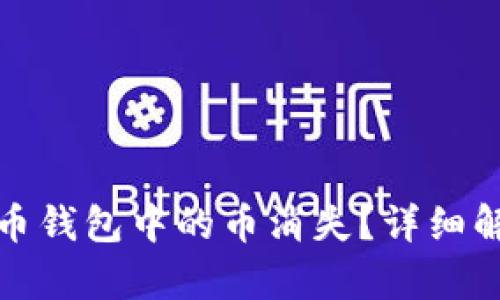 如何应对虚拟币钱包中的币消失？详细解析及解决方案