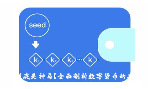 数字货币到底是神马?全面剖析数字货币的本质与未来