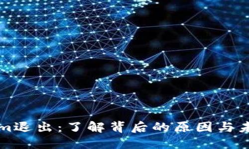 Tokenim退出：了解背后的原因与未来展望