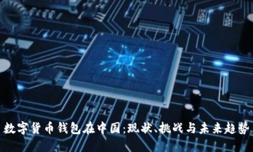 数字货币钱包在中国:现状、挑战与未来趋势