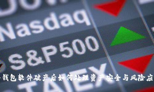 冷钱包软件破产后如何处理资产安全与风险应对