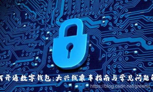 如何开通数字钱包:大兴线乘车指南与常见问题解答