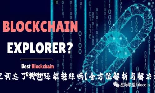 助记词忘了钱包还能转账吗?全方位解析与解决方案