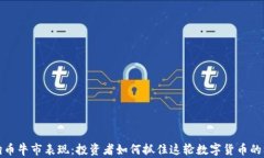 狗狗币牛市表现：投资者