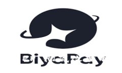 世界数字钱包APP：彻底改