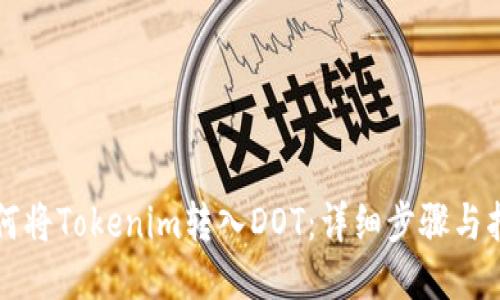 如何将Tokenim转入DOT:详细步骤与指南