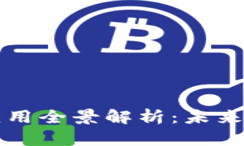 区块链技术应用全景解析：未来的机遇与挑战