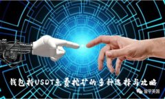 钱包持USDT免费挖矿的多种选择与攻略