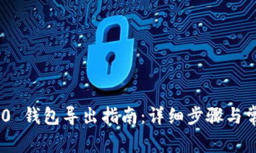 Tokenim 2.0 钱包导出指南：详细步骤与常见问题解答
