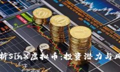 全面解析SinX虚拟币：投资潜力与风险分析