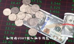 如何将USDT转入柚子钱包一