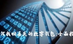 如何找回丢失的数字钱包：全面指南