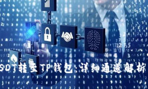 : 如何将USDT转至TP钱包：详细通道解析与步骤指南