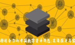   如何选择适合你的中国数字货币钱包：高清图片